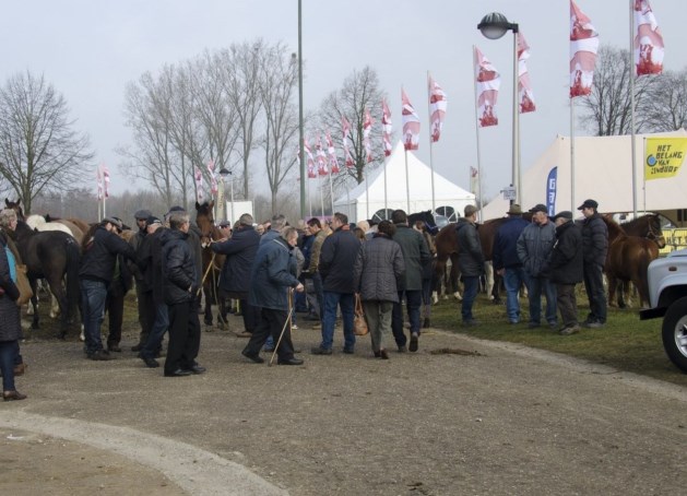 36ste Paardenmarkt in Kuringen