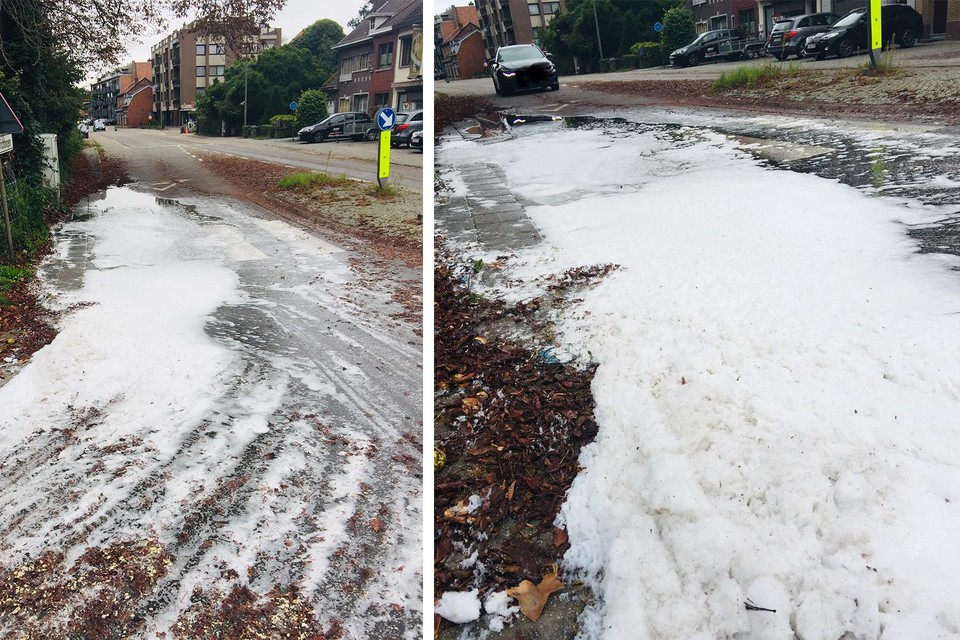 Bijzonder natuurfenomeen in Kuringen: kastanjeboom veroorzaakt schuimtapijt